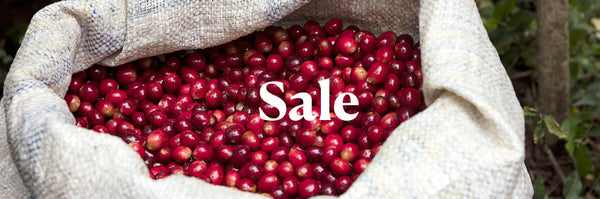 Satchel of coffee cherries with the word Sale on top of it