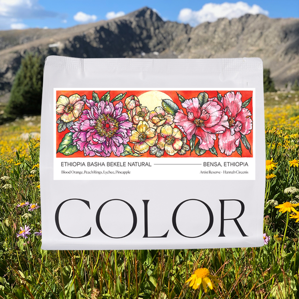 Coffee bag with floral design and 'COLOR' text in a field with mountains in the background
