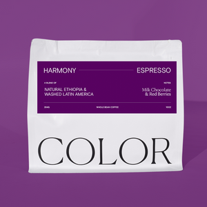 our white 10oz whole bean coffee bag with COLOR logo at the bottom