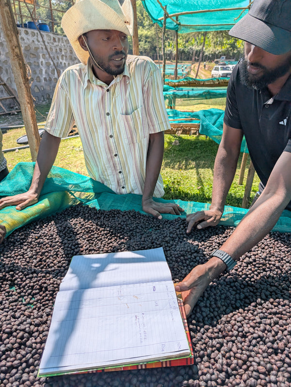 Ethiopia Bare Natural