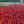 Load image into Gallery viewer, Ethiopia Bare Natural