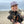 Load image into Gallery viewer, woman at the beach holding a black dog with a purple hat on
