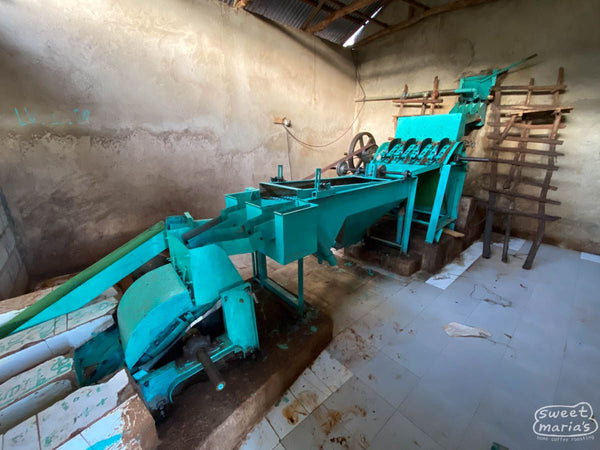 Ethiopia Yirgacheffe Chelbesa (presale roasts 10/30)