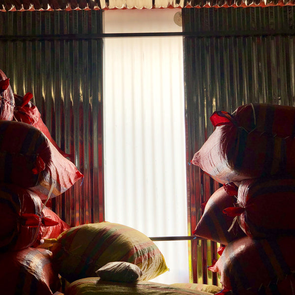 burlap bags of coffee beans stacked in a shed