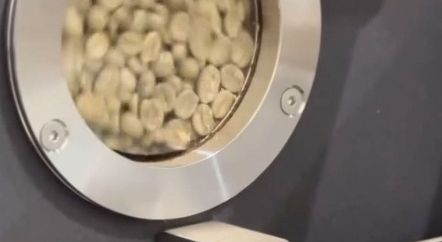 Why We Chose the IMF 15kg — and Why We Think It’s the Best Roaster in ...