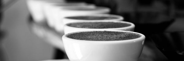 a row of white coffee mugs with delicious roasted coffee in them