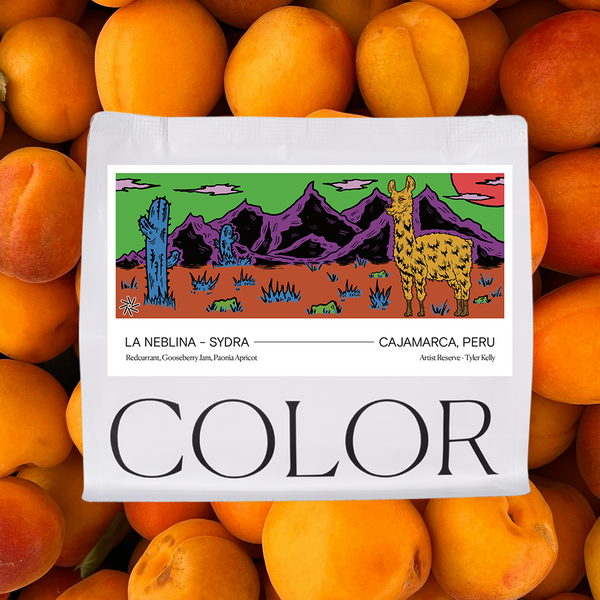 Artist Reserve Peru La Neblina - Washed Sydra