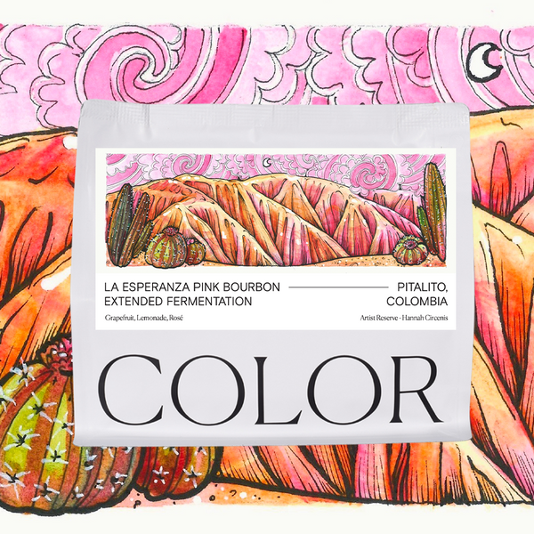 Artist Reserve: Colombia Esperanza Pink Bourbon - Extended Fermentation