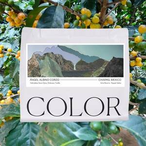 Book titled 'COLOR' with a mountain image on a background of coffee plants and cherries.