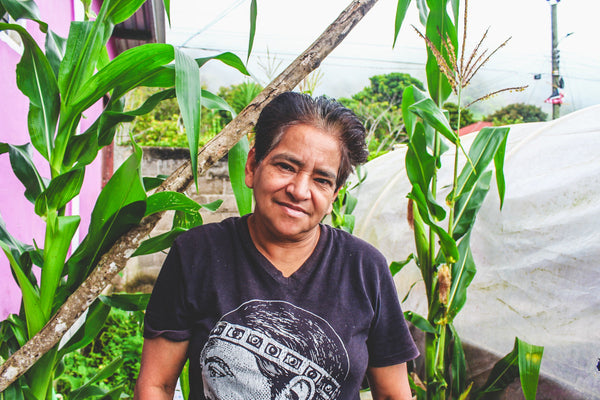 Honduras Alba Marina Alvarado - Multi-Stage Washed Parainema