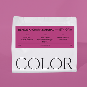 our white 10oz whole bean coffee bag with purple label and COLOR logo at the bottom on a purple background