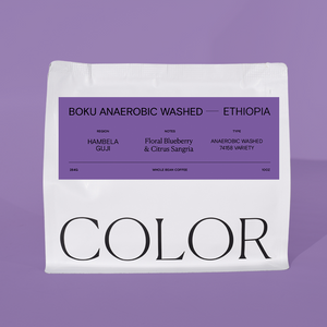 our white 10oz whole bean coffee bag with purple label and COLOR logo at the bottom on a purple background.
