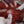Load image into Gallery viewer, Sorting Burundian Coffee Cherries for Color Coffee
