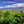 Load image into Gallery viewer, Southern Huila Pink Bourbon Heaven
