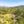 Load image into Gallery viewer, aerial view of the coffee farm in Ethiopia next to a river with a waterfall
