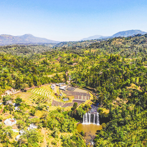 aerial view of the coffee farm in Ethiopia next to a river with a waterfall