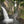 Load image into Gallery viewer, Small Waterfall off the cliffs in Veracruz Mexico

