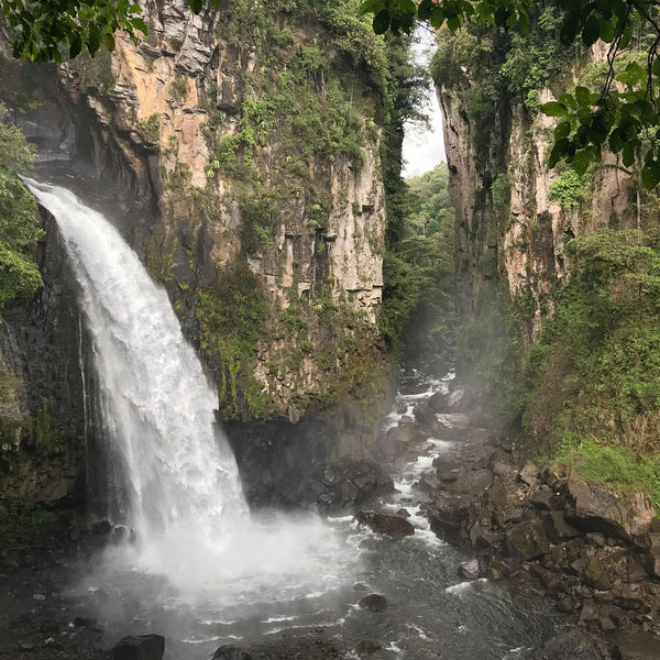 Small Waterfall off the cliffs in Veracruz Mexico