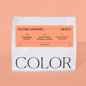 our 10oz white whole bean coffee bag with peach rectangle label and COLOR logo at the bottom on a peach background.