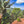 Load image into Gallery viewer, Scenic view of a tropical landscape with banana trees, mountains, and blue sky.
