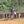 Load image into Gallery viewer, Ethiopia Kercha Natural
