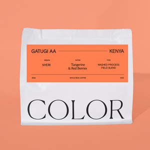 our 10oz white whole bean coffee bag on an orange background with an orange label and COLOR logo at the bottom