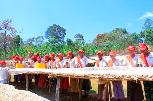 A group of women wearing matching red caps, white t-shirts, and red sashes stand behind a long wooden table outdoors under a blue sky, with dried coffee spread on the table and trees in the background.