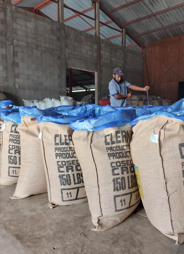 Man working with large bags of coffee in a warehouse setting