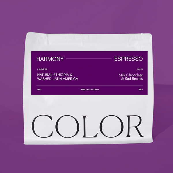 our white 10oz whole bean coffee bag with COLOR logo at the bottom