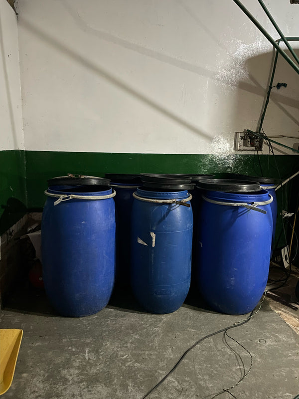 Colombia Beto Narvaez - Multi-Stage Washed Pink Bourbon