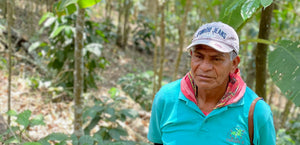 Mexican coffee farmer standing in a wooded area with an blue polo on