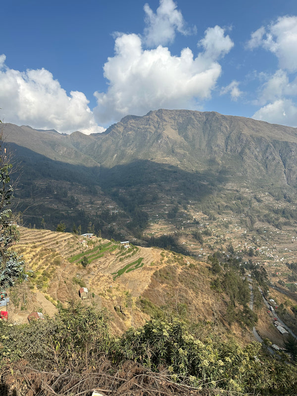 Peru Puno Vilma Chambi