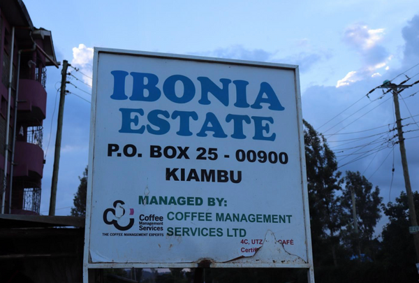Ibonia Estate sign with contact information and management details against a blue sky.
