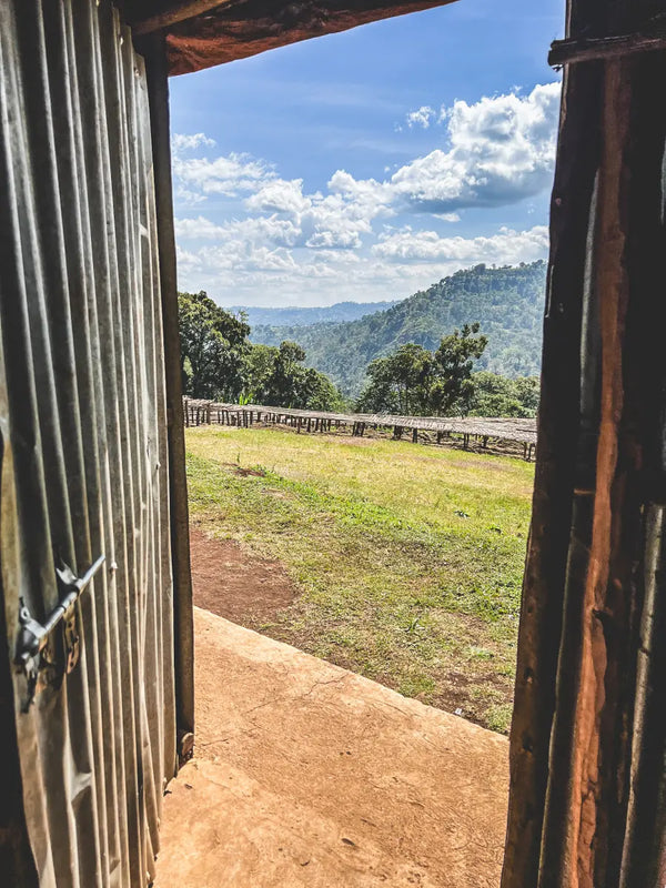 A scenic view of rolling green hills and a grassy field under a blue sky with white clouds, framed by an open rustic wooden door.