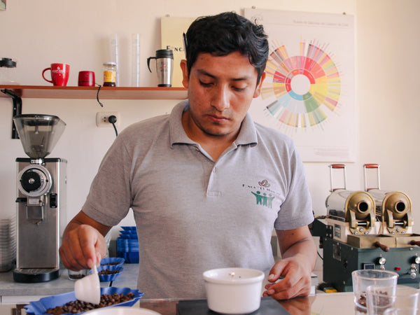 Artist Reserve Peru Lenin Flores - Washed Yellow Caturro