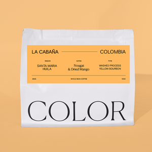 our 10oz white whole bean coffee bag with orange label and COLOR logo at the bottom on an orange background