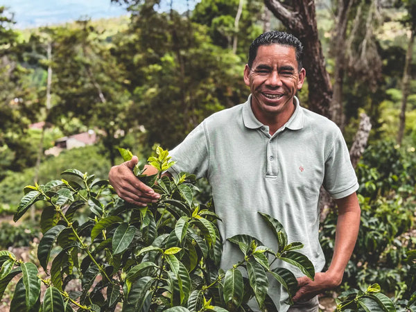 A smiling man in a light sage green polo shirt stands outdoors among leafy green plants, with trees and hills blurred in the background.