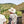 Load image into Gallery viewer, Two men looking at coffee plantations with a mountainous landscape in the background.
