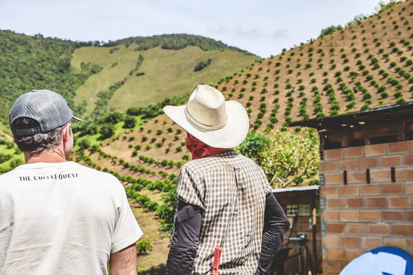 Two men looking at coffee plantations with a mountainous landscape in the background.
