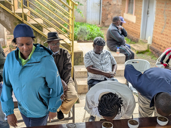 Kenya Little Swamps - Washed Baitan (first roast 11/28)