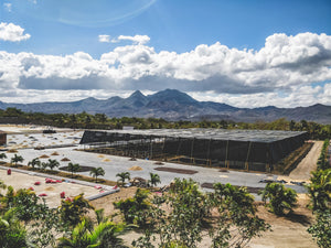 NICARAGUA

BENEFICIO LAS SEGOVIAS COMMUNITY BLEND PROCESSING