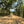 Load image into Gallery viewer, Coffee Road in Oaxaca
