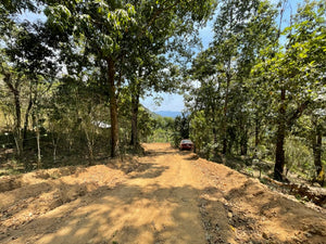 Coffee Road in Oaxaca