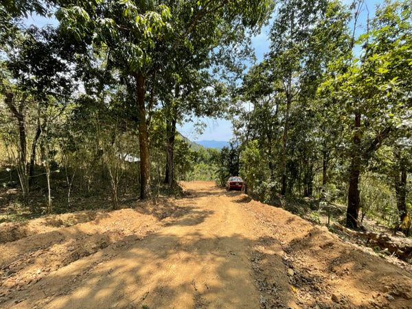 Coffee Road in Oaxaca