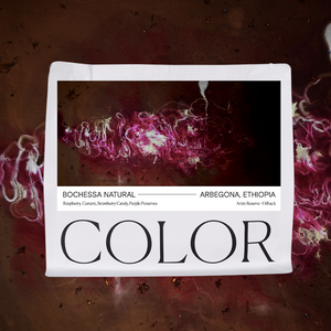 Color Coffee Bochessa Natural