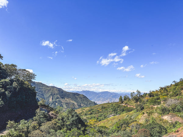 Scenic view of a mountainous landscape with green trees and a clear blue sky - Ecuador Loja