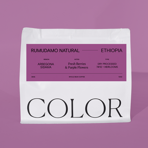 our 10oz white whole bean coffee bag with purple label and COLOR logo on a purple background