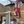 Load image into Gallery viewer, Person on a ladder working at a coffee farm with others below.
