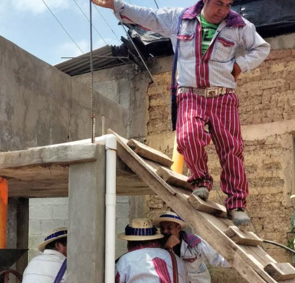 Person on a ladder working at a coffee farm with others below.
