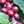 Load image into Gallery viewer, Guatemala Erwin Argueta

